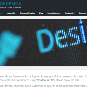 WordPress Customize Options Code