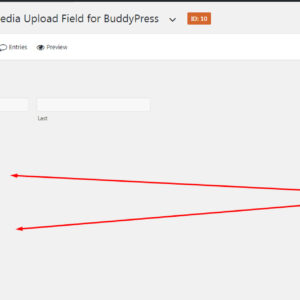 Gravity Forms Media Upload Field for BuddyPress